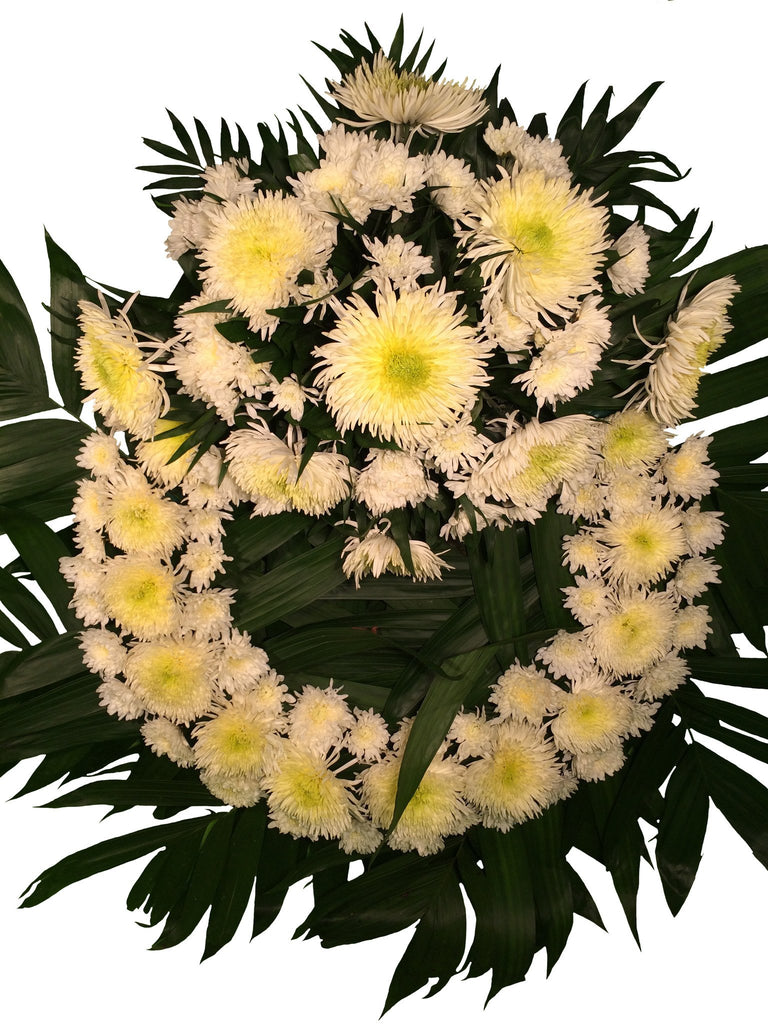 Corona ( 65 cm ) Spider - Ponpon Ramiso Con Copete