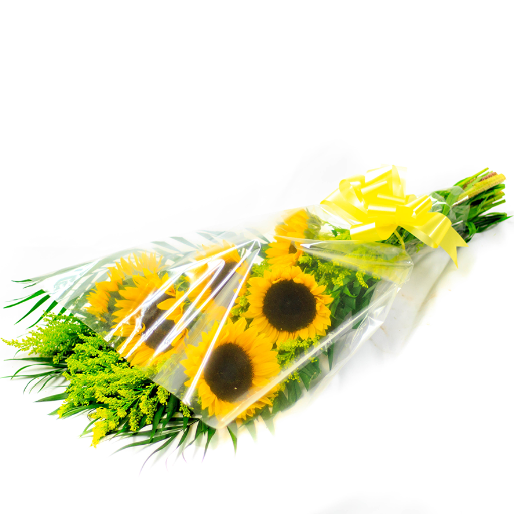 Ramo Sunshine